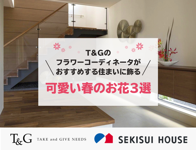 T&Gのフラワーコーディネーターがおすすめする住まいに飾る可愛い春のお花3選のアイキャッチ