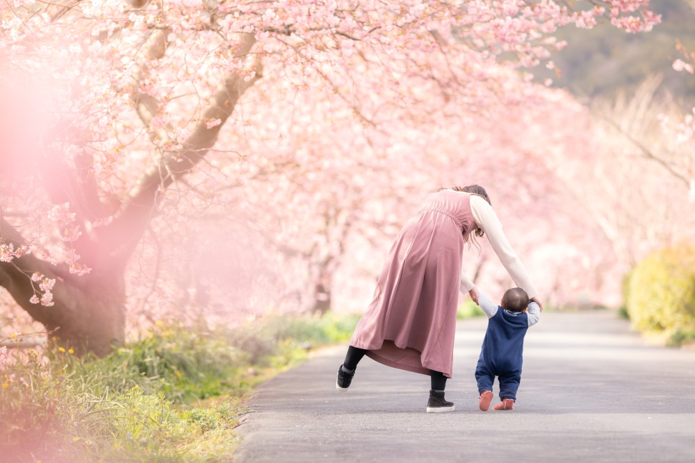 今だから撮れる！「桜」の映える写真の撮り方5選のアイキャッチ